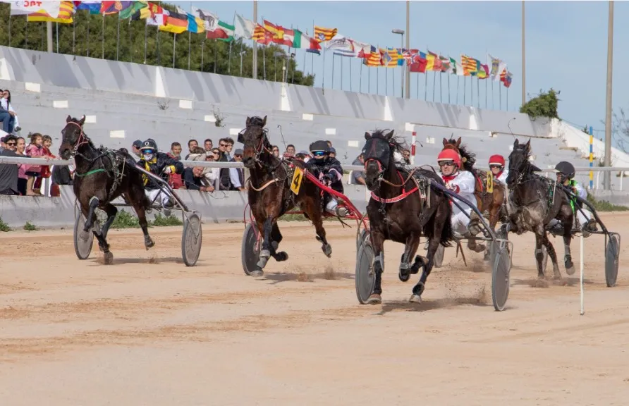 Carreras de Trotones- Hipódromo Maó